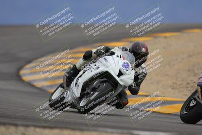 media/Jan-14-2023-SoCal Trackdays (Sat) [[497694156f]]/Turn 12 (120pm)/